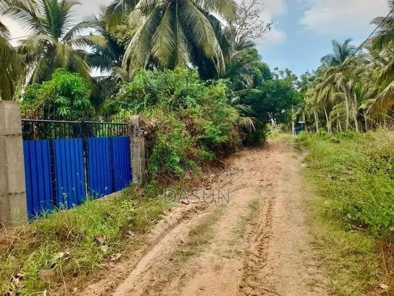Coconut Land For Sale In Mundalama Chilaw