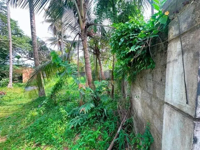 කිරිල්ලවලින් වටිනා නේවාසික ඉඩමක් විකිණීමට