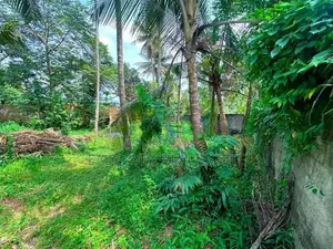 කිරිල්ලවලින් වටිනා නේවාසික ඉඩමක් විකිණීමට