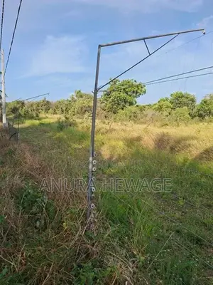 Coconut, Mango, Banana Cultivated Land for Sale Puttalam. (ID : PTLM00