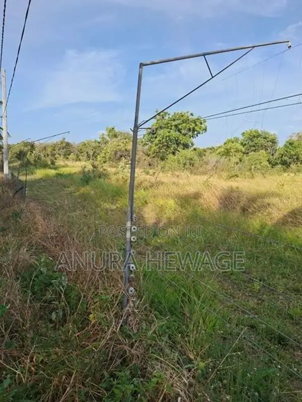 Coconut, Mango, Banana Cultivated Land for Sale Puttalam. (ID : PTLM00