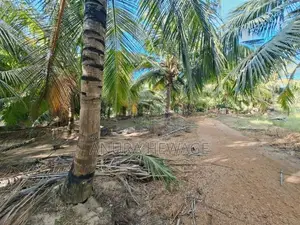 Coconut, Mango, Banana Cultivated Land for Sale Puttalam. (ID : PTLM00