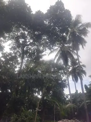Land For Sale In Maharagama Abagahapura