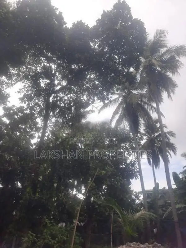 Land For Sale In Maharagama Abagahapura