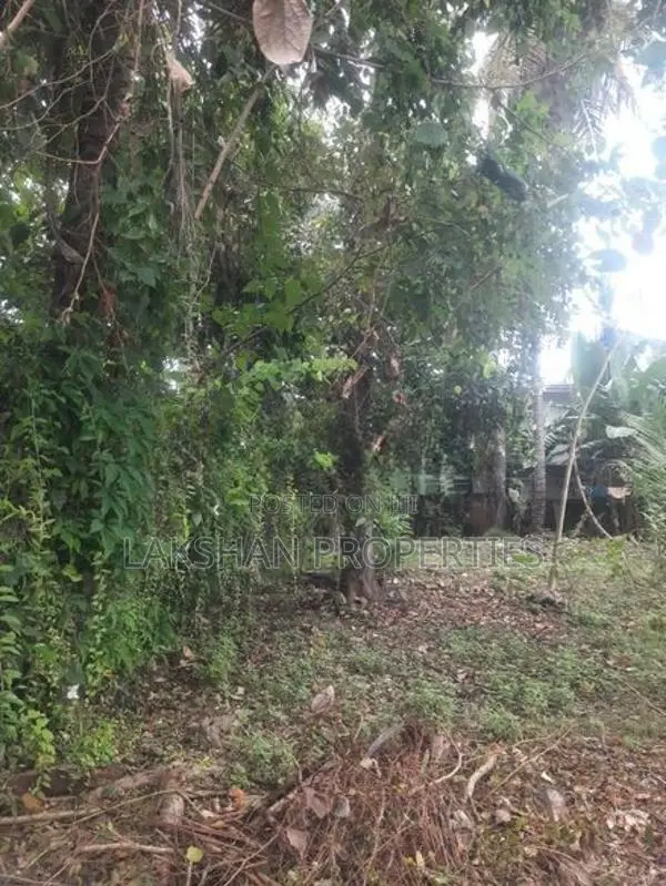 Land For Sale In Maharagama Abagahapura