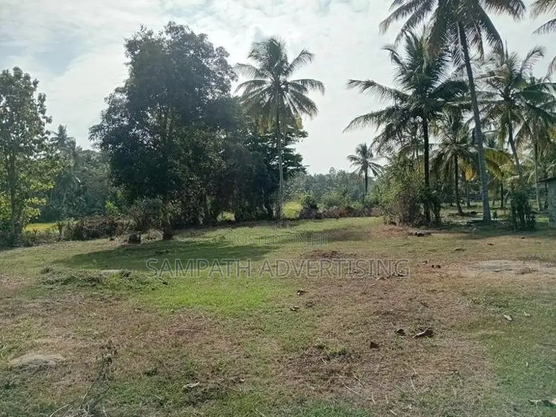 Land foe sale in Kurunegala