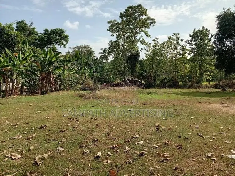 Land foe sale in Kurunegala