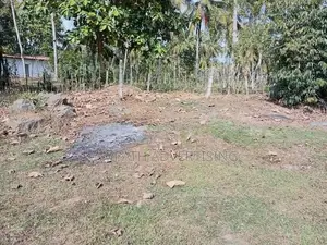 Land foe sale in Kurunegala