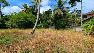 පොතුහැරින් පර්චස් 15ක වටිනා නේවාසික ඉඩමක් විකිනීමට