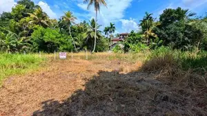 පොතුහැරින් පර්චස් 15ක වටිනා නේවාසික ඉඩමක් විකිනීමට