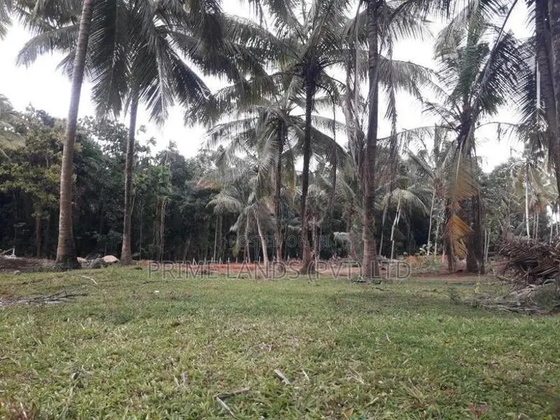 කුරුණෑගල නාගරික පහසුකම් වලට සමීපයෙන් ඉඩමක්