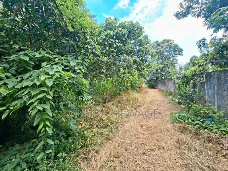 මාලබේ, SLIIT ආයතනයට ආසන්නයේ ඉඩමක් විකිණීමට ඇත. (ID : MALB017S)