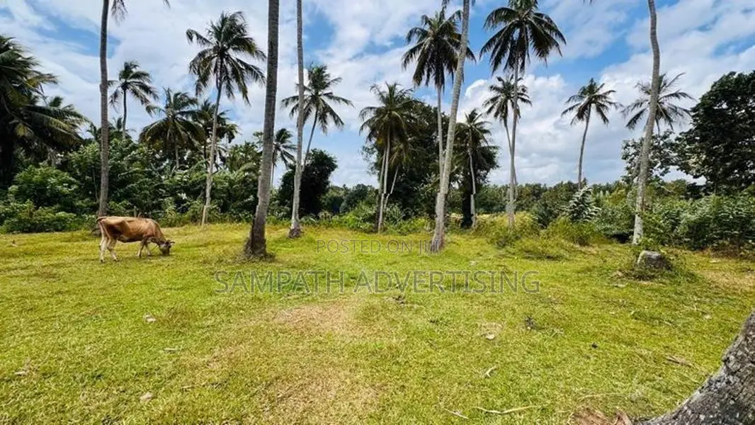 Land for sale in Kurunegala