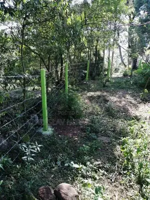 Scenic View Land In Haputale