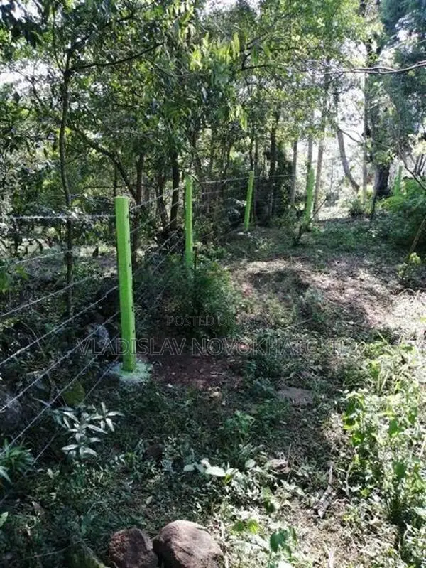 Scenic View Land In Haputale
