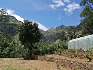 Scenic View Land In Haputale