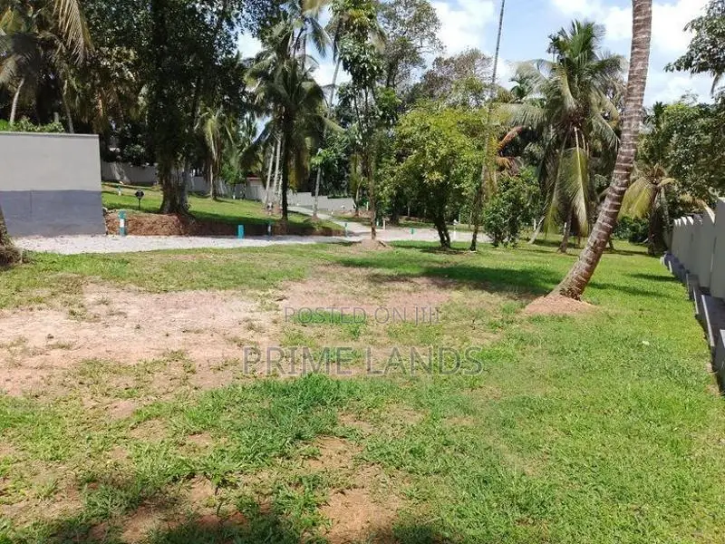 හෝමාගමින් ඉඩමක්