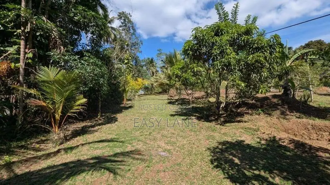 කැලණි ගඟට මායිම්ව පූගොඩින් පලතුරු වත්තක්