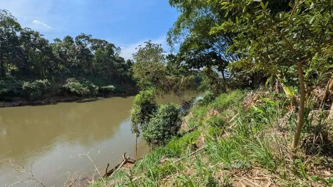 කැලණි ගඟට මායිම්ව පූගොඩින් පලතුරු වත්තක්