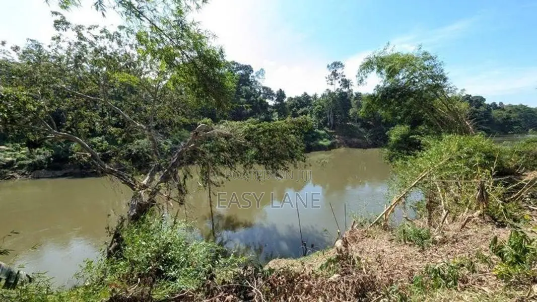කැලණි ගඟට මායිම්ව පූගොඩින් පලතුරු වත්තක්