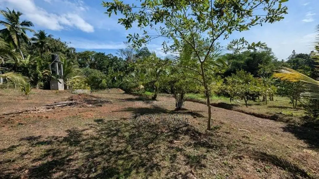 කැලණි ගඟට මායිම්ව පූගොඩින් පලතුරු වත්තක්