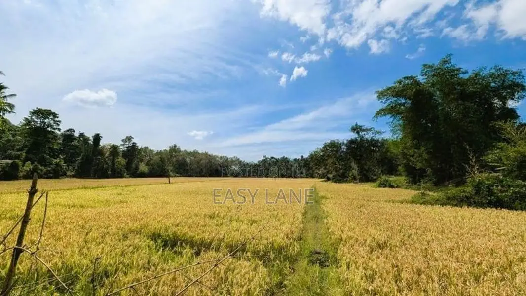 හංවැල්ල මල්වාන හරහා කඩුවෙල බස් මාර්ගයට මායිම් ව්‍යාපාරික ඉඩම විකිණීමට