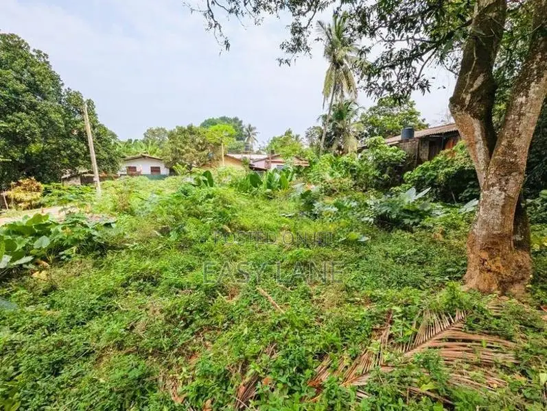 කඩවත – Highway අසල ඉඩම විකිණීමට