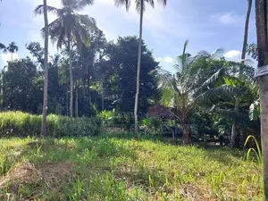 Land For Sale In Nittambuwa
