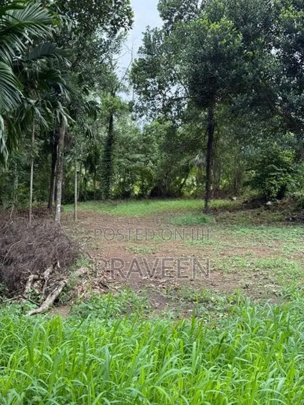 Land For Sale In Kaduwela