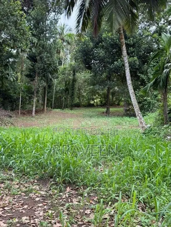 Land For Sale In Kaduwela