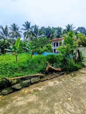 නවගමුව නගරයෙන් වටිනා ඉඩමක් විකිණීමට