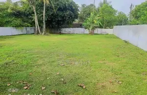 වත්තල බිම් කොටසක්