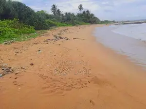 වත්තල බිම් කොටසක්