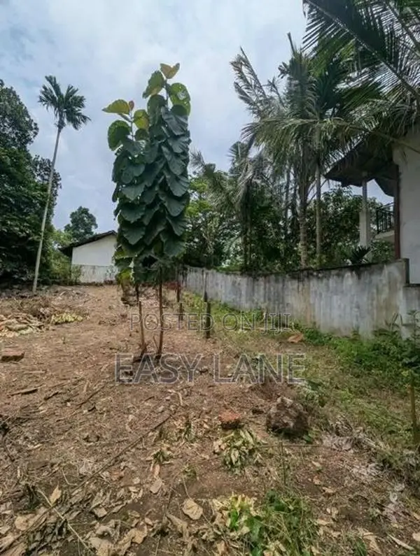 කහතුඩුව - අධිවේගී පිවිසුම අසලින්ම වටිනා ඉඩමක් විකිණීමට