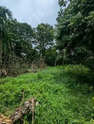 කහතුඩුව - අධිවේගී පිවිසුම අසලින්ම වටිනා ඉඩමක් විකිණීමට