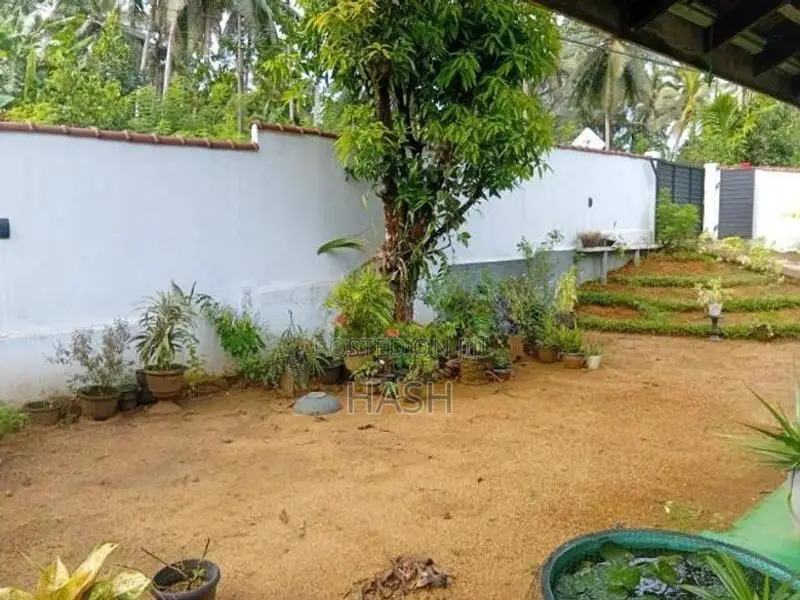 Pitigala Pelawatta Main Road 30 Perch Land With House For Sale