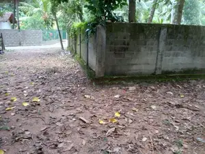 100P Valuable Land for Sale in Negombo -Katana