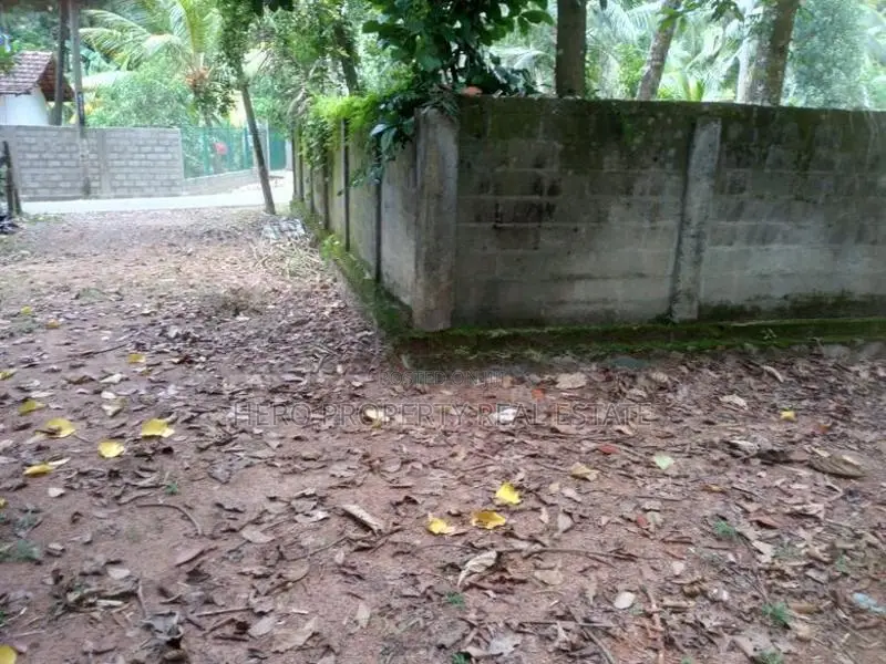 100P Valuable Land for Sale in Negombo -Katana