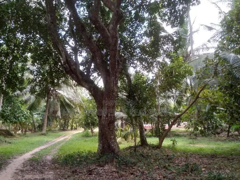 100P Valuable Land for Sale in Negombo -Katana