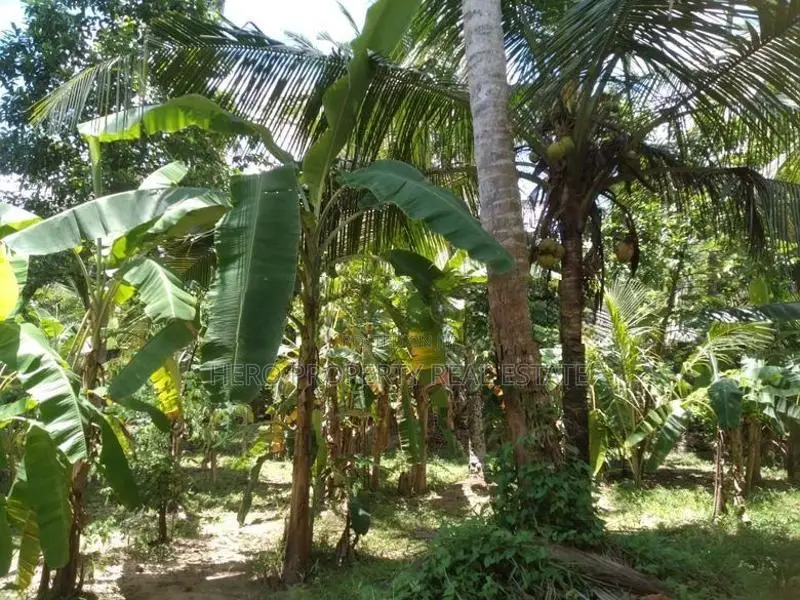100P Valuable Land for Sale in Negombo -Katana