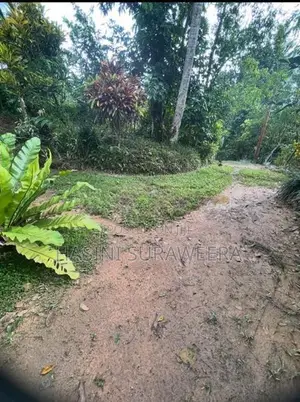 Land with House for Sale – Pilimathalawa