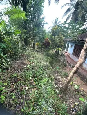 Land with House for Sale – Pilimathalawa