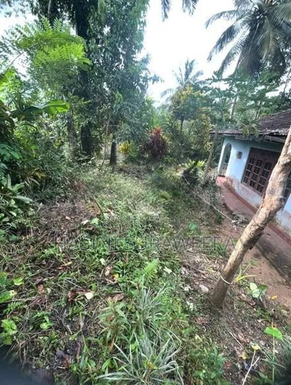 Land with House for Sale – Pilimathalawa