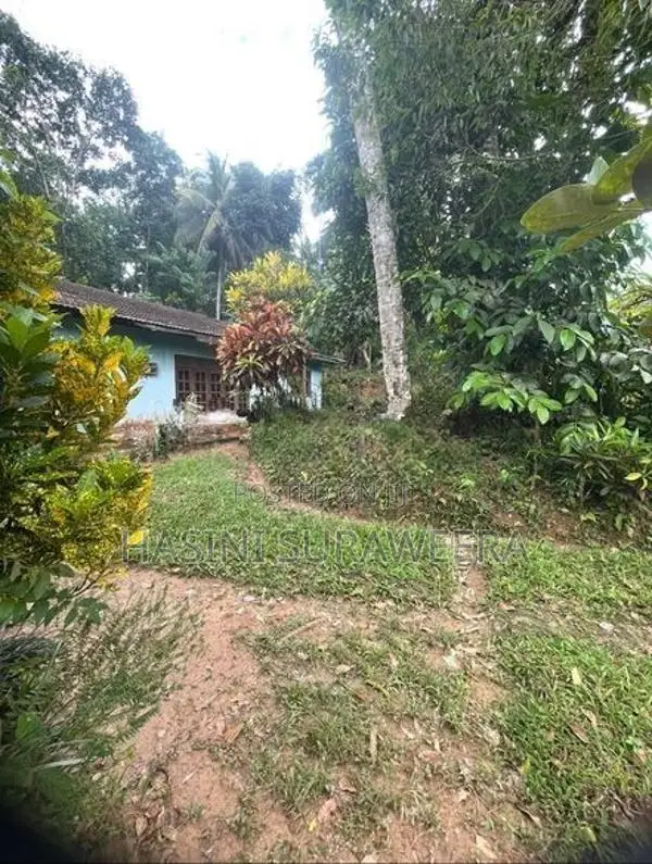 Land with House for Sale – Pilimathalawa