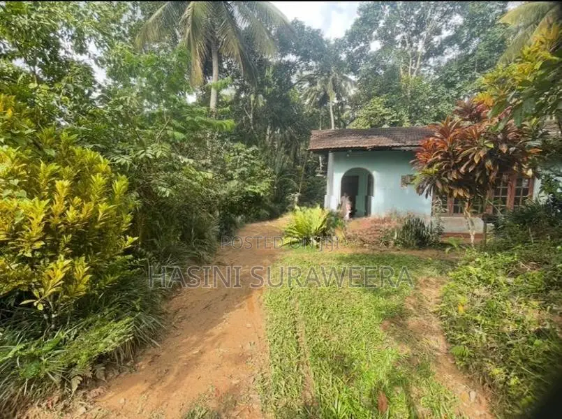 Land with House for Sale – Pilimathalawa