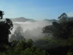 House for Sale in Mirahawatte, Bandarawela