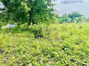 (NSD1021)2 Acres Land for Sale in Kottawa