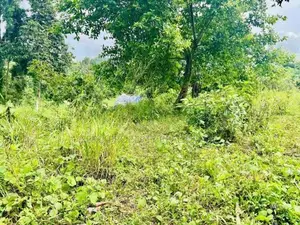 (NSD1021)2 Acres Land for Sale in Kottawa