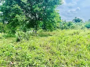 (NSD1021)2 Acres Land for Sale in Kottawa