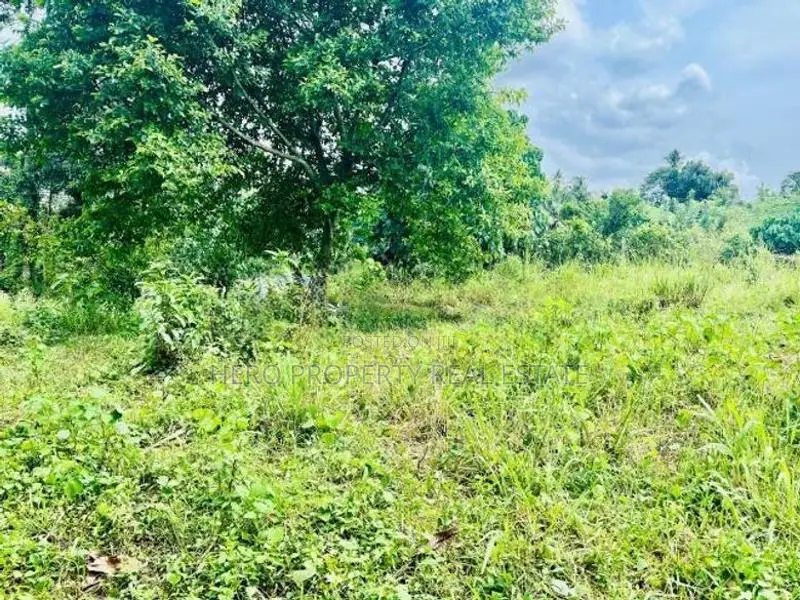 (NSD1021)2 Acres Land for Sale in Kottawa
